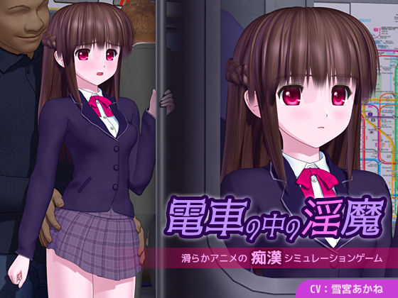 電車の中の淫魔